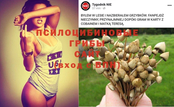 кокаин премиум Абаза