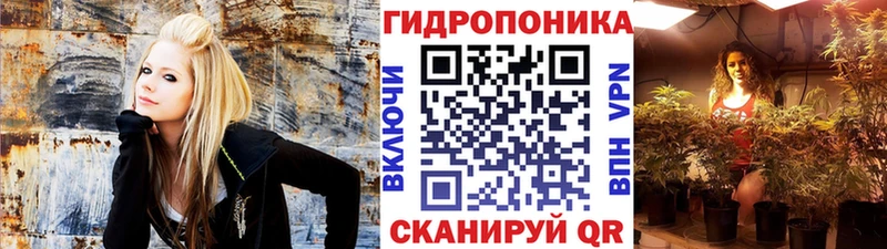 KRAKEN ссылка  Абаза  Бошки марихуана Amnesia 